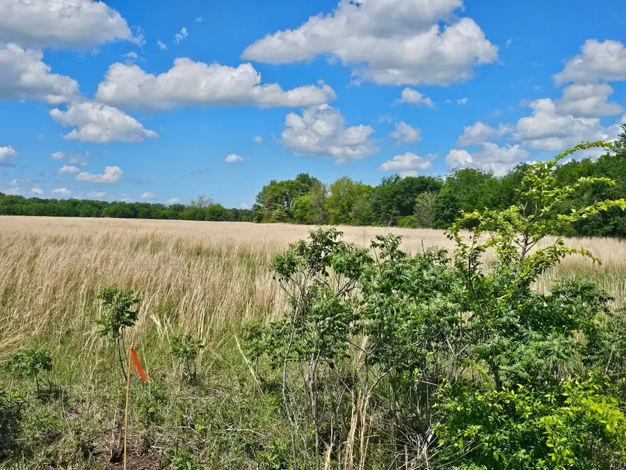 Lot 1 Cr 3609, Edgewood, TX 75117 - #3