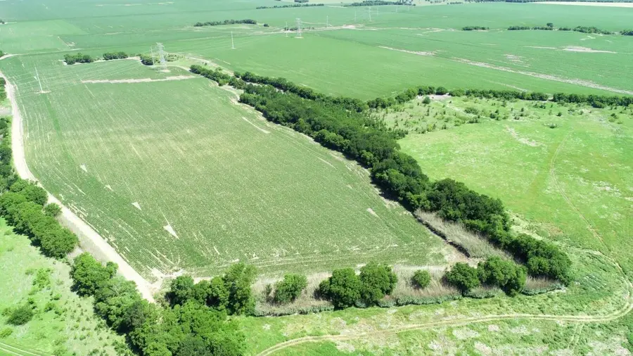 TBD Cr 459, Eddy, TX 76524 - #3