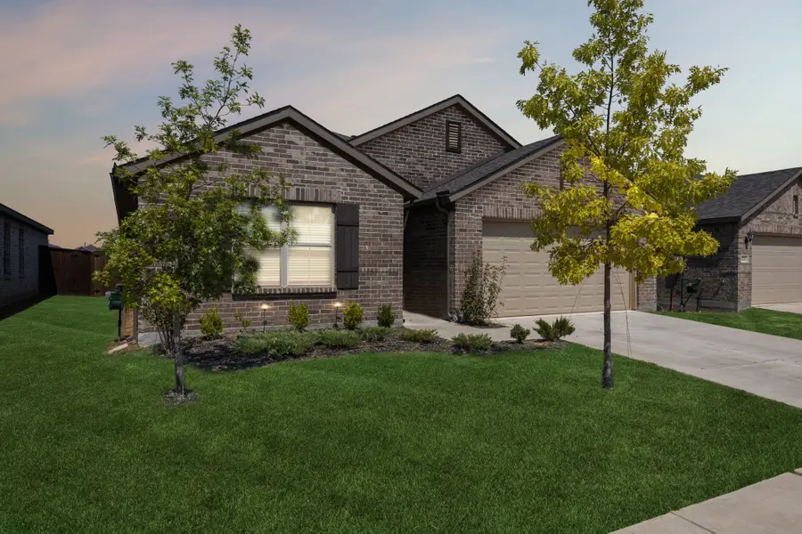 14219 Aberavon Drive, Pilot Point, TX 76258 - #2