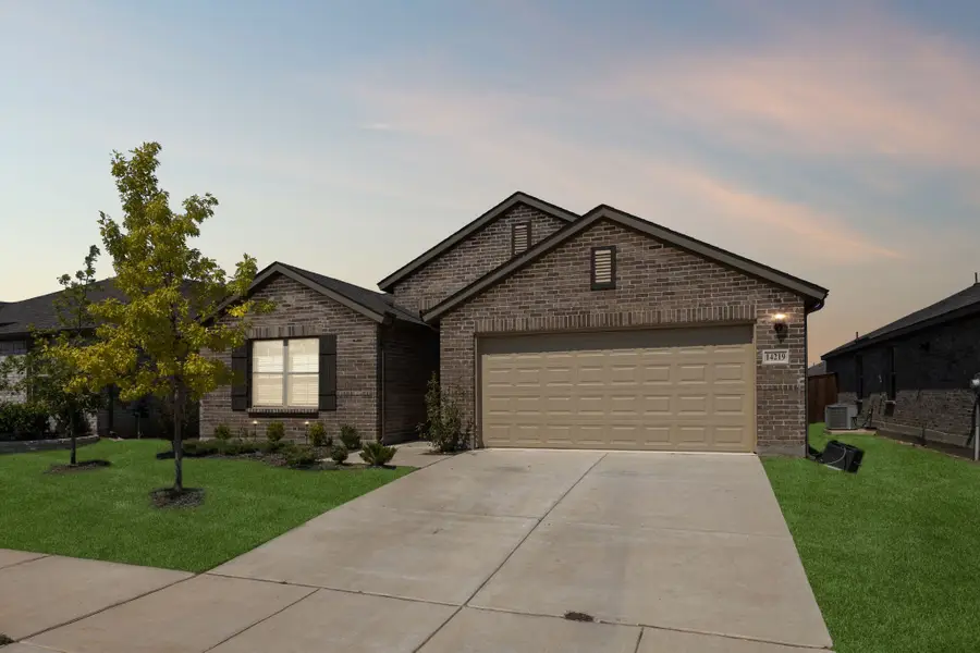 14219 Aberavon Drive, Pilot Point, TX 76258 - #3