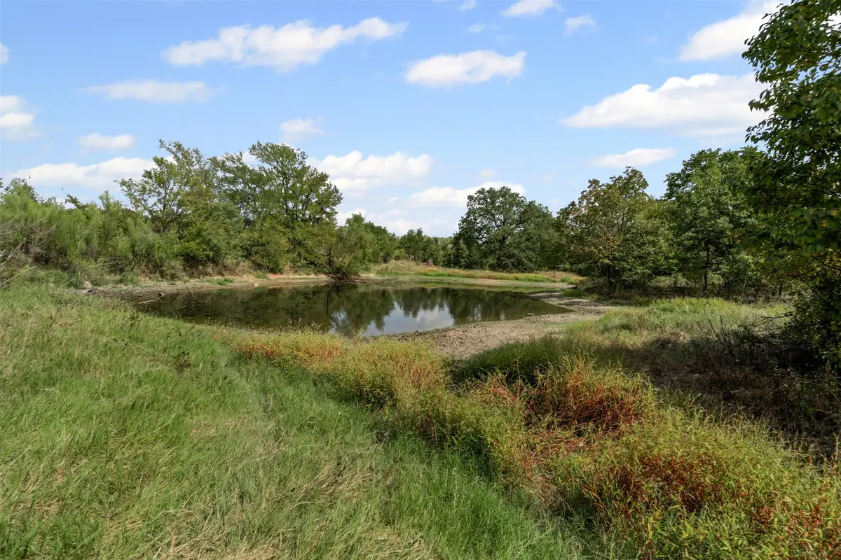 451 County Road 4975, Desdemona, TX 76445 - #1