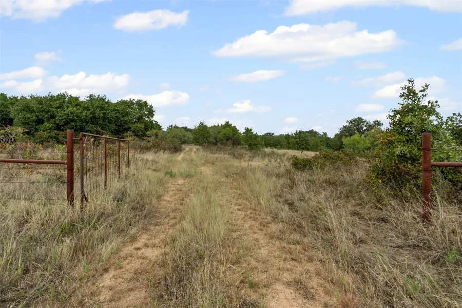 451 County Road 4975, Desdemona, TX 76445 - #3