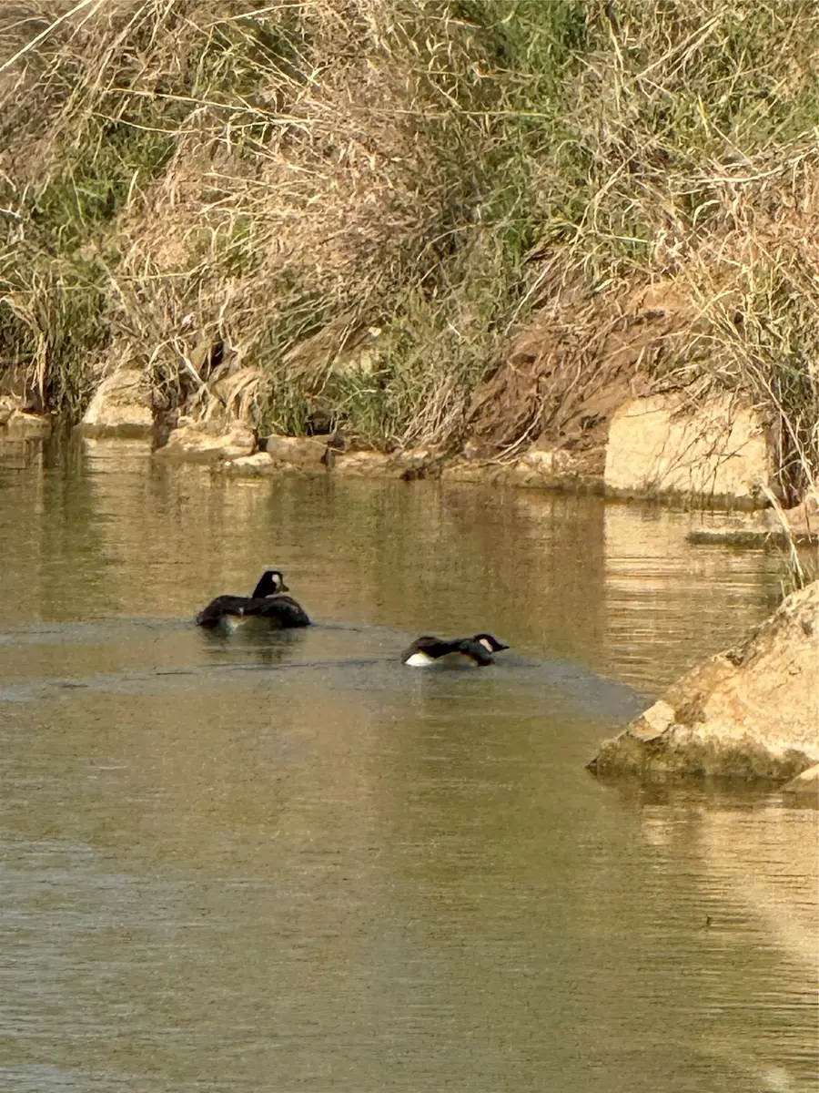 S0000 Seybold Road, Mineral Wells, TX 76067 - #3