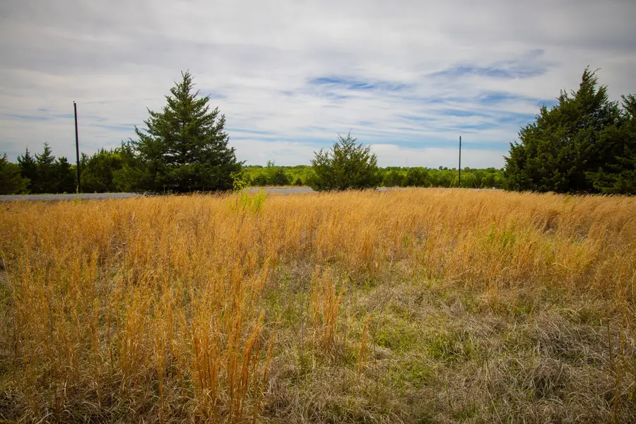 Lot 5 Pr 291, Dodd City, TX 75438 - #2