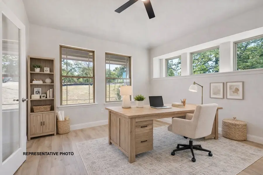 324 Skeen Peak Drive, Springtown, TX 76082 - #3