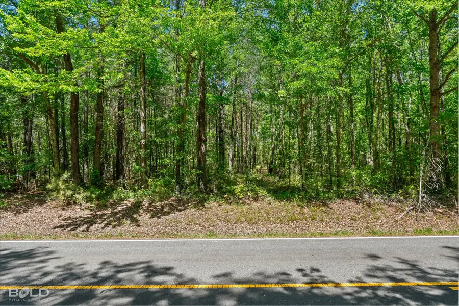 0 Hwy 160, Benton, LA 71006 - #3