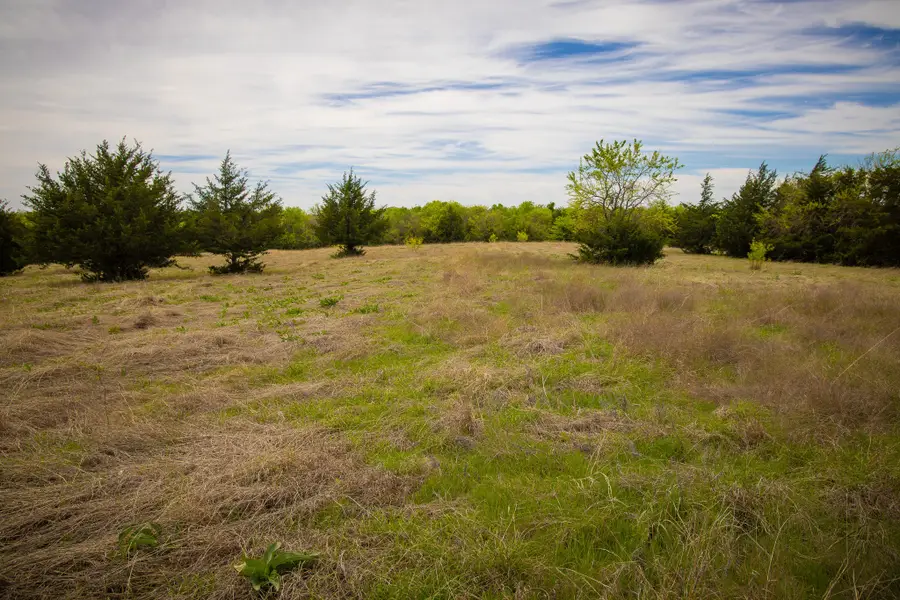 Lot 10 Pr 291, Dodd City, TX 75438 - #3