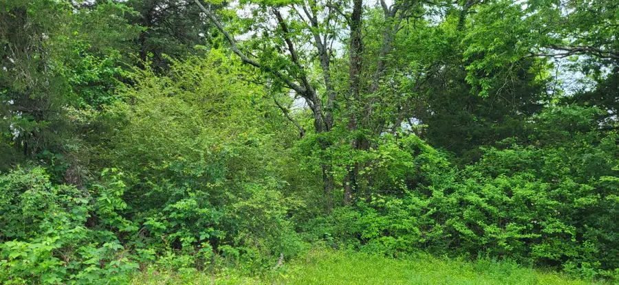 3031 Fm-275 N, Cumby, TX 75433 - #3