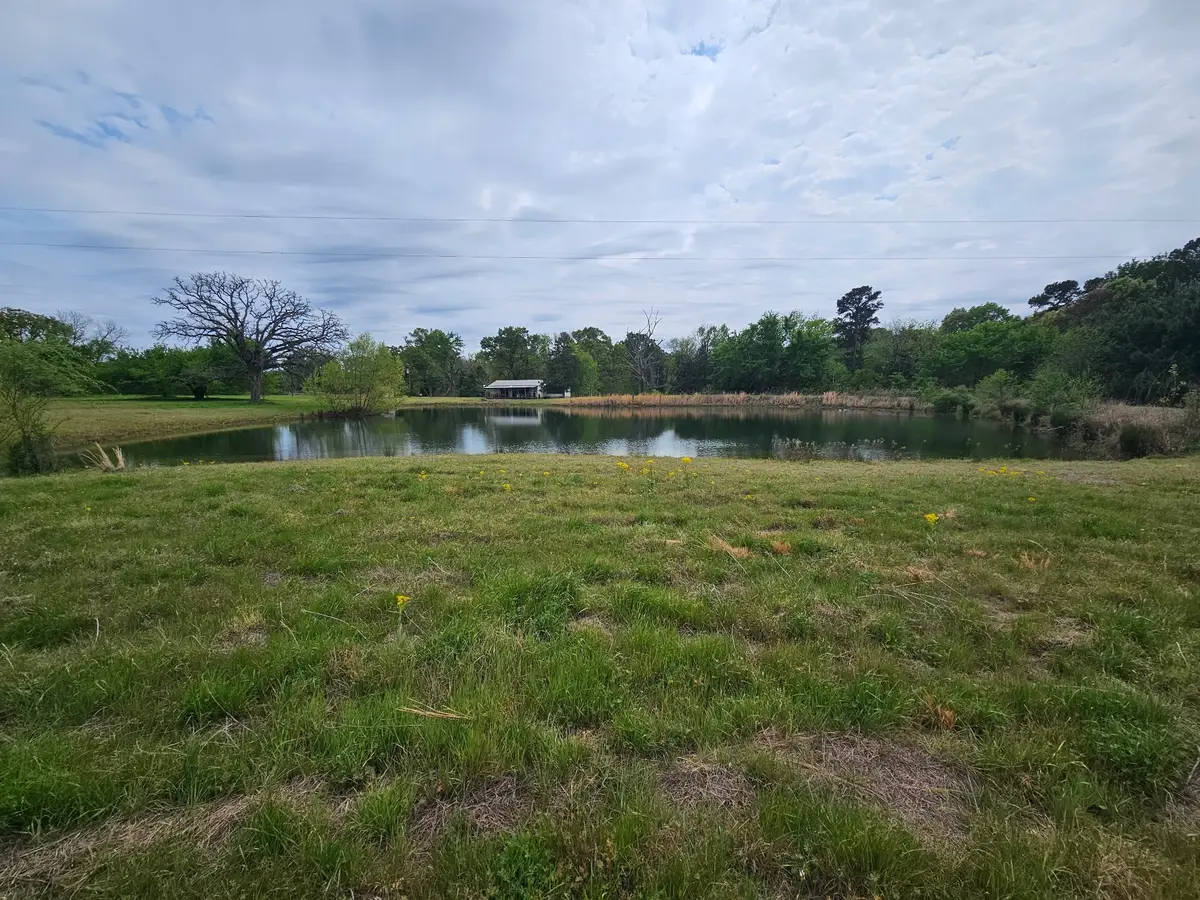 7247 County Road 4334, Larue, TX 75770 - #1