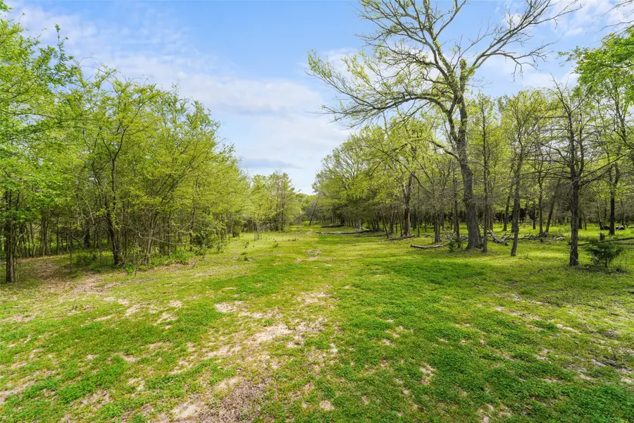 9764 County Road 2422 Road, Royse City, TX 75189 - #2
