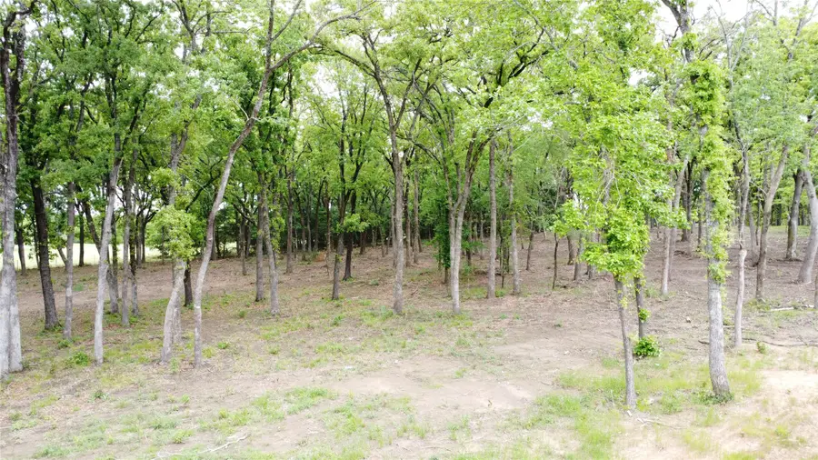 1210 Buck Trail, Pottsboro, TX 75076 - #2