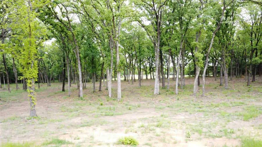 1210 Buck Trail, Pottsboro, TX 75076 - #3