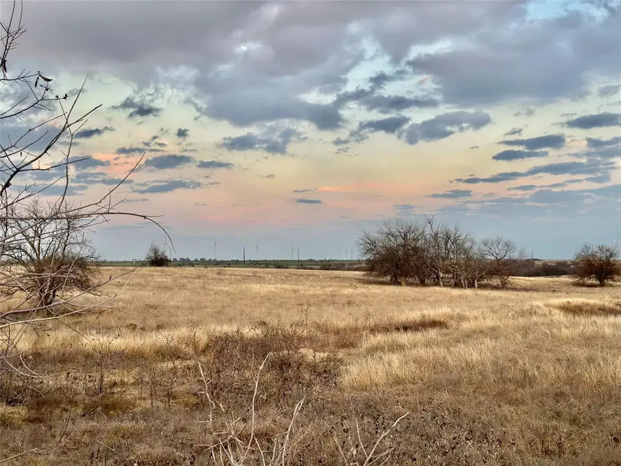 Lot 7 County Road 353, Gainesville, TX 76240 - #3