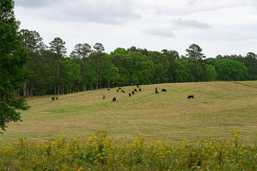 0 Cr 1615, Jacksonville, TX 75766 - #3