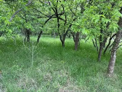 1980 Fm 933, Aquilla, TX 76622 - #2