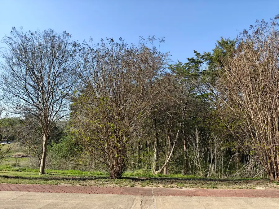 4021 Waters Edge Drive, Midlothian, TX 76065 - #2