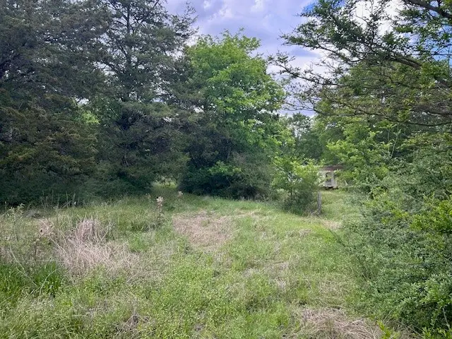 TBD Cedar Acres Loop, Mabank, TX 75147 - #2