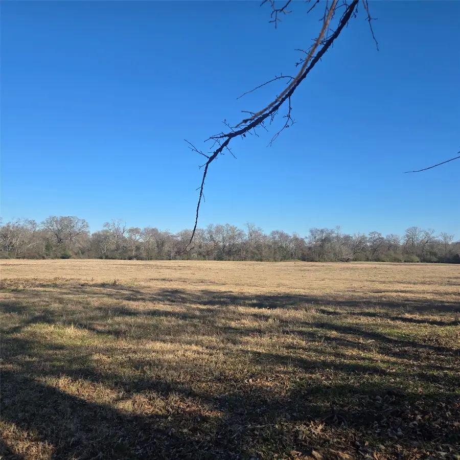 20398 Old Palestine Highway, Flint, TX 75762 - #2