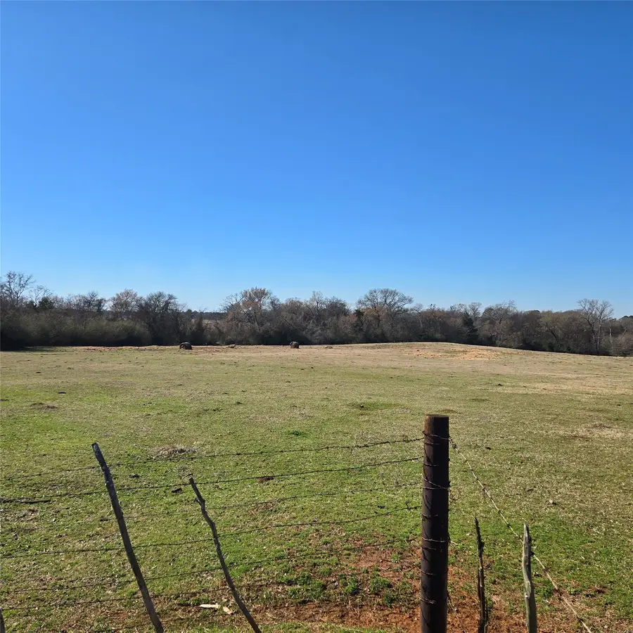 20398 Old Palestine Highway, Flint, TX 75762 - #3