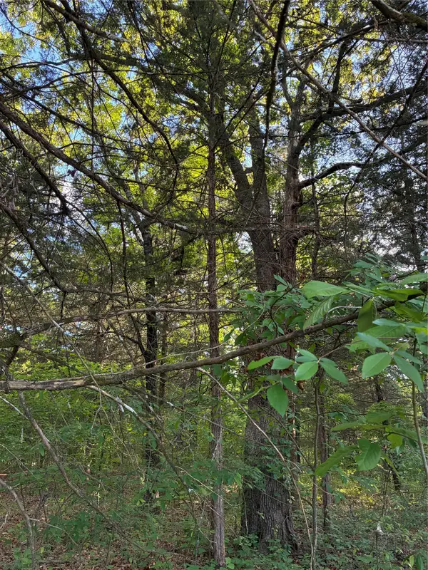 2900 Mc Burnett Dr, Honey Grove, TX 75446