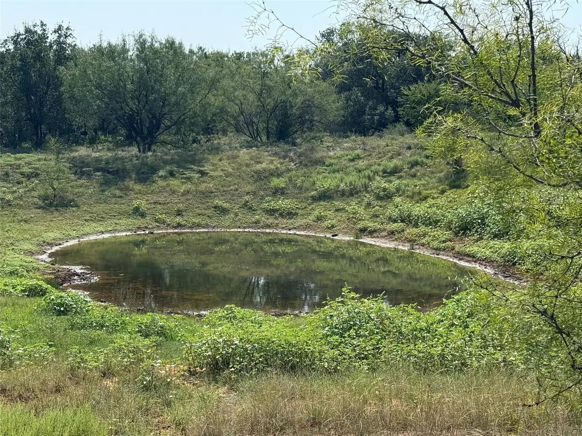 0000 Proffitt Road, Newcastle, TX 76372 - #1