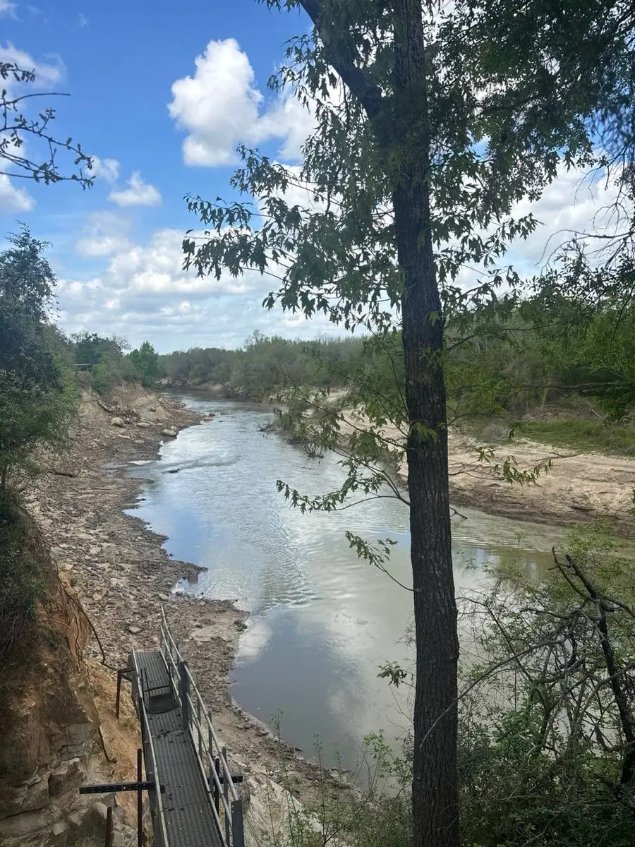 111 W Fm 321 (off), Montalba Tennessee Colony, TX 75840 - #2