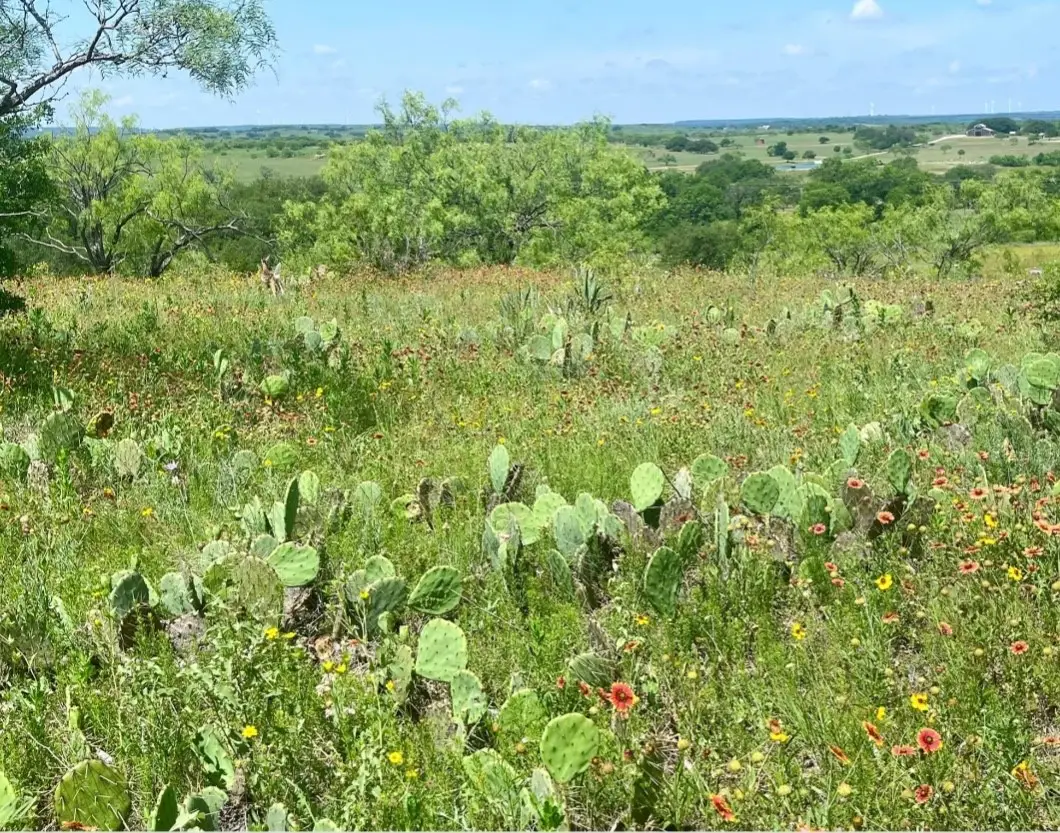 LOT 59 Comanche Lake Road, Comanche, TX 76442 - #1