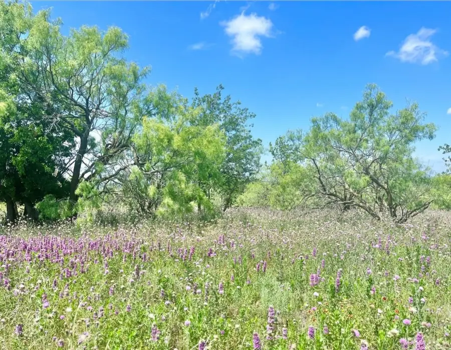 LOT 59 Comanche Lake Road, Comanche, TX 76442 - #3