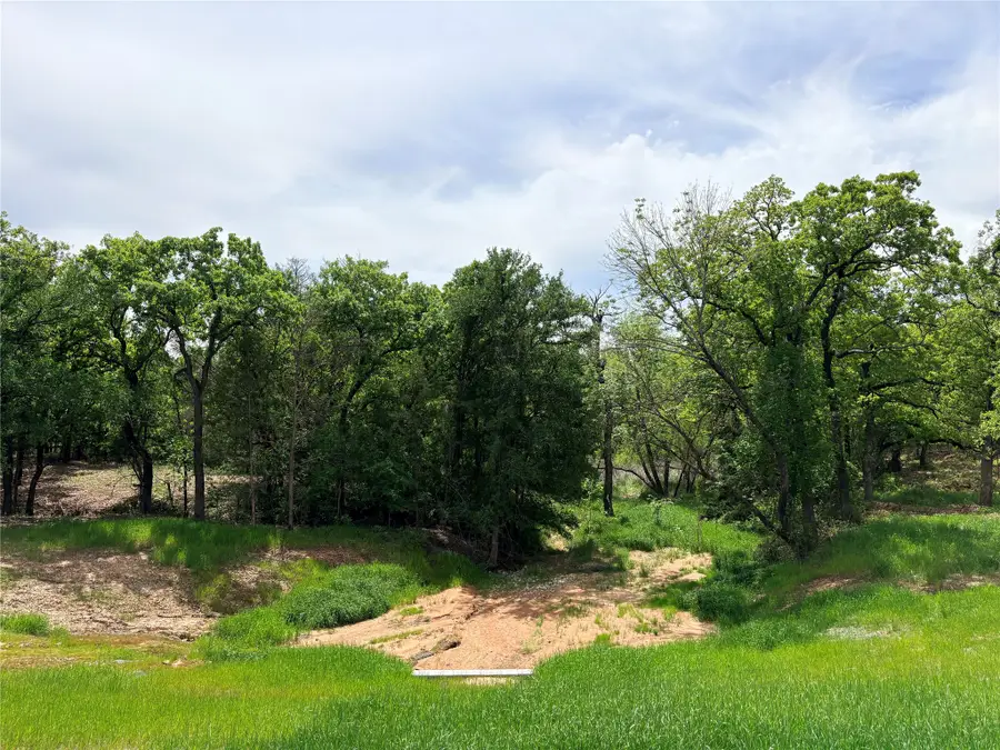 135 Turtle Back Ridge, Decatur, TX 76234 - #3