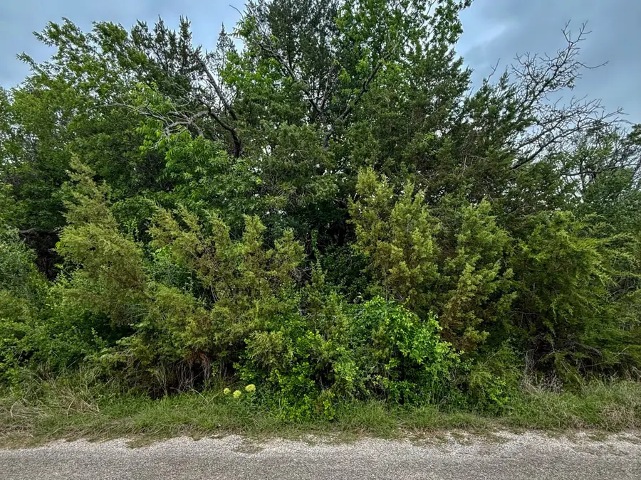 4627 Evening View Drive, Granbury, TX 76048 - #2