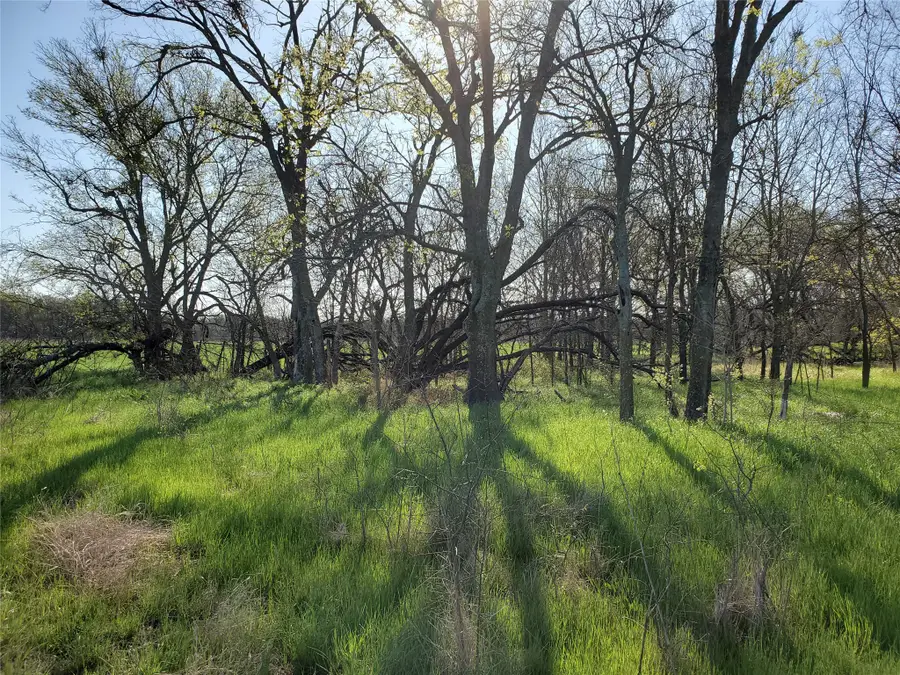 112 Hcr-2221, Aquilla, TX 76622 - #2