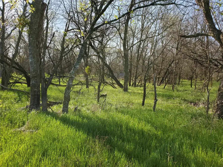 112 Hcr-2221, Aquilla, TX 76622 - #3