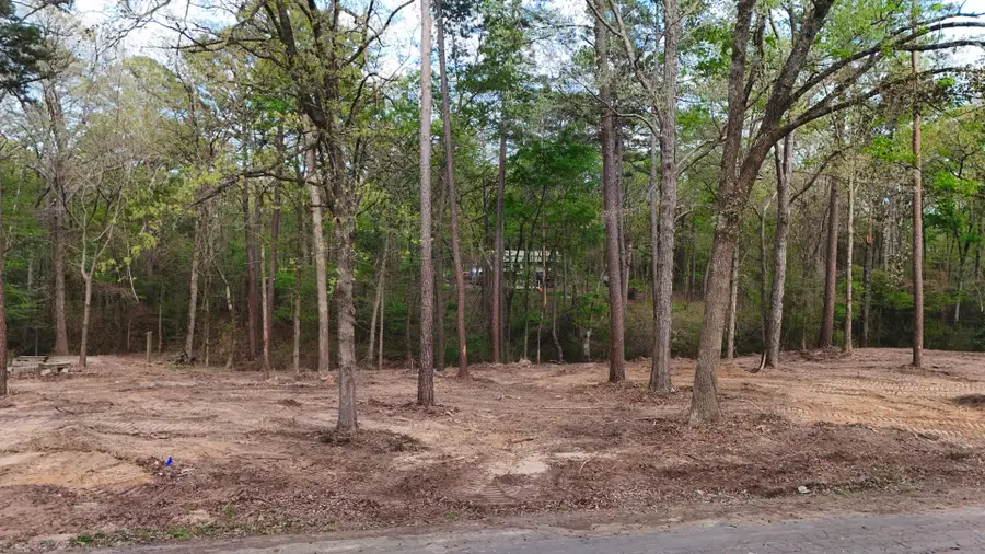 163 Ermine Court, Mount Vernon, TX 75457 - #2