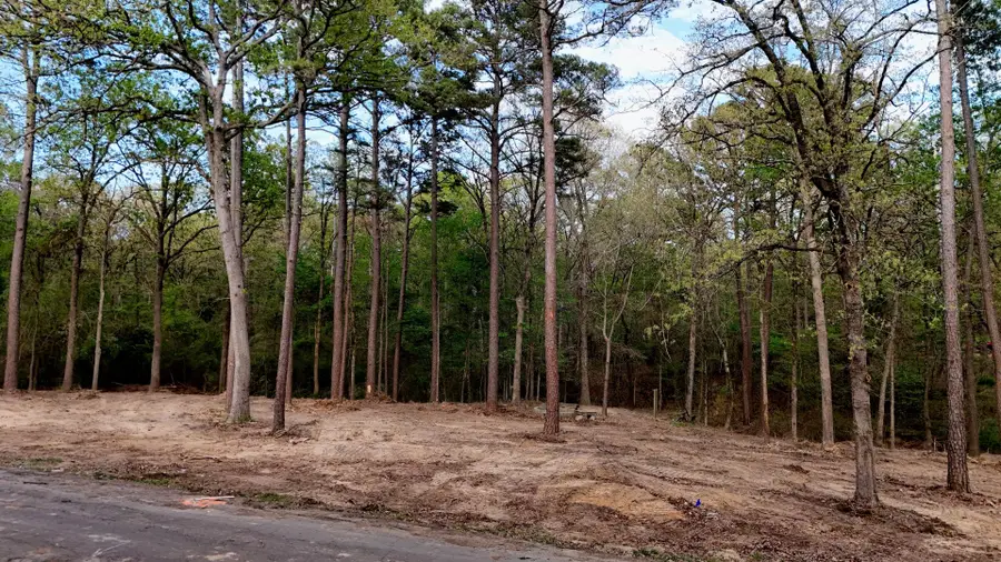 163 Ermine Court, Mount Vernon, TX 75457 - #3