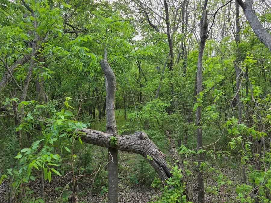 1202 Rosemary Street, Greenville, TX 75401 - #2