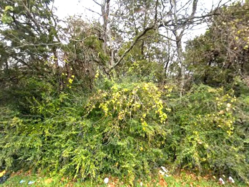 1627 Stella Avenue, Dallas, TX 75216 - #1