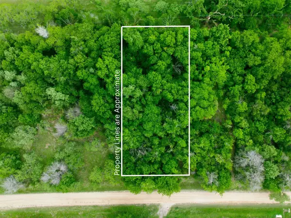 TBD Melondale Drive, Elm Mott, TX 76640