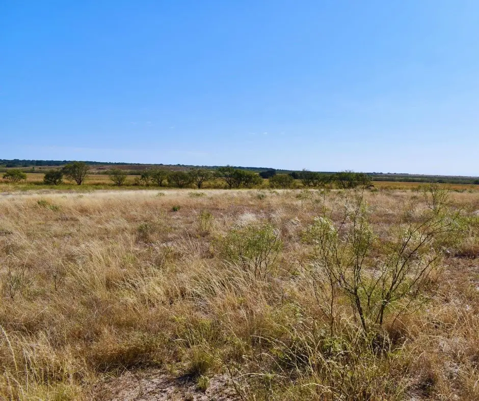 60 A Cr 144, Brady, TX 76825 - #1