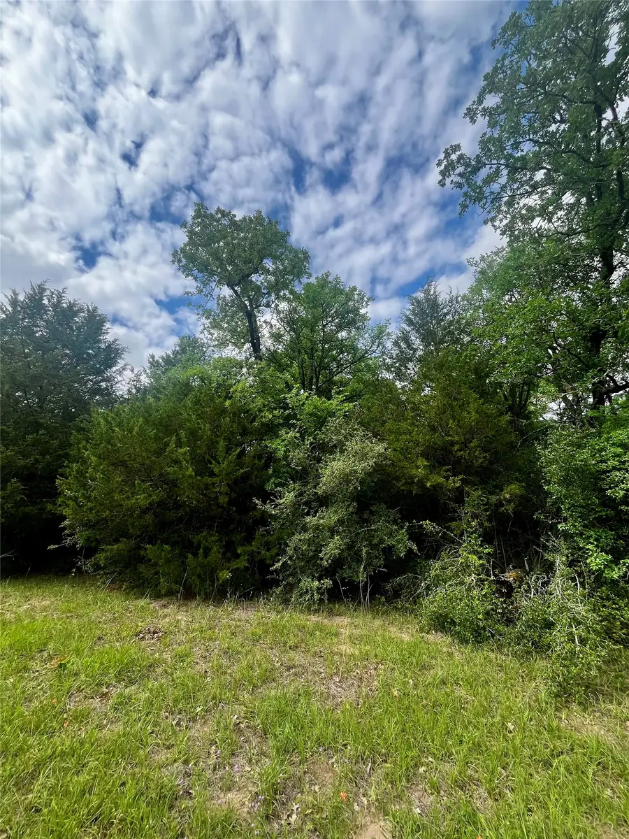 TBD Pr 5787, Groesbeck, TX 76642 - #3