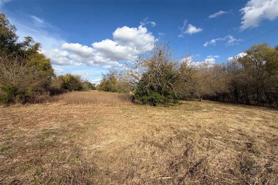 TBD County Road 616, Farmersville, TX 75442 - #3