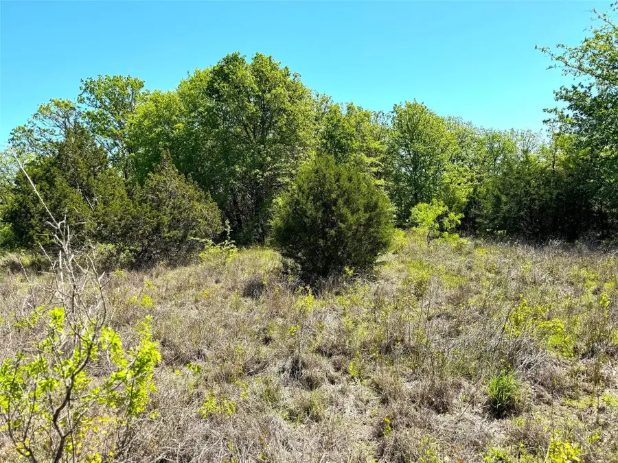 TBD Ballard Road, Weatherford, TX 76088 - #3