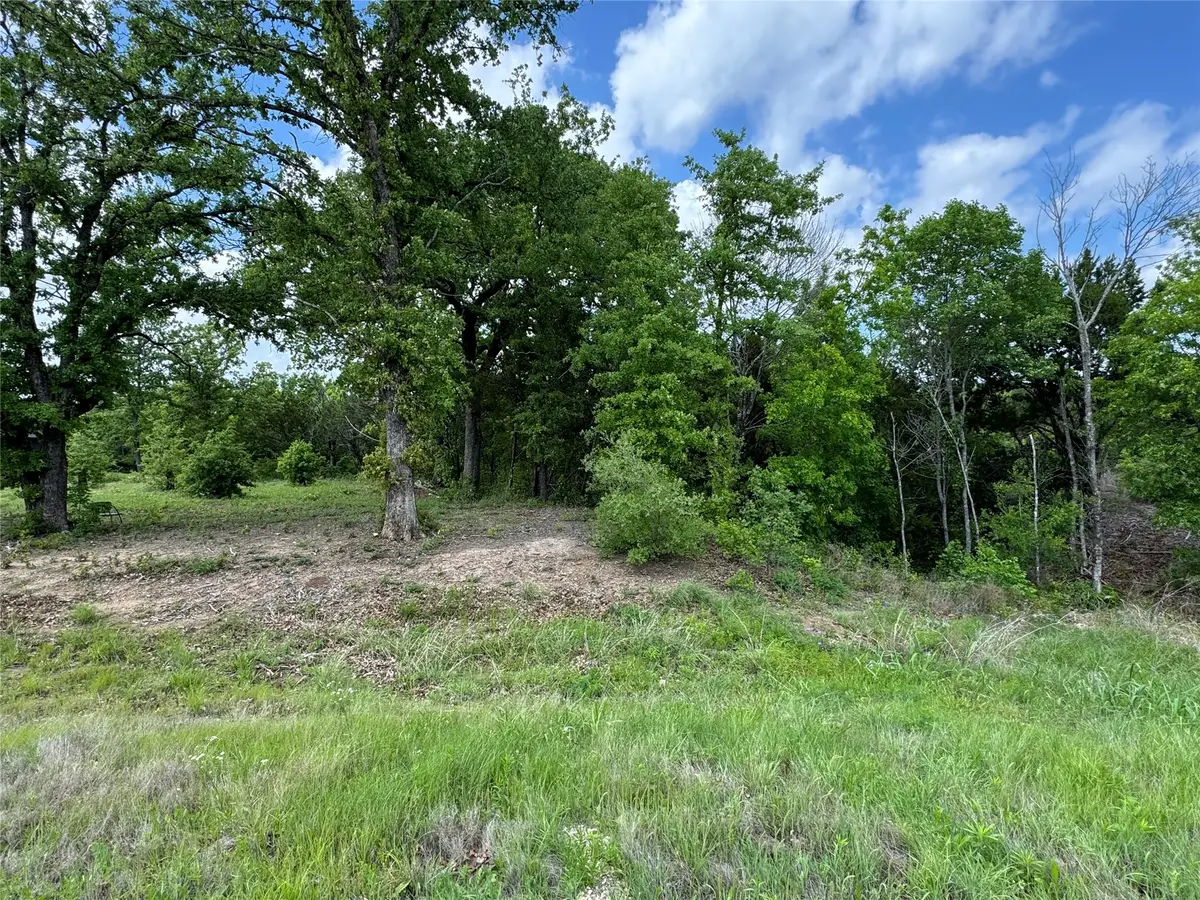 1017 Cedar Hill Drive, Nemo, TX 76070 - #1