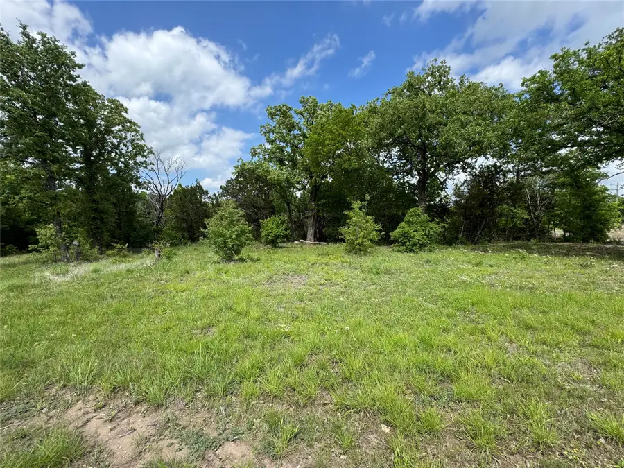 1017 Cedar Hill Drive, Nemo, TX 76070 - #2