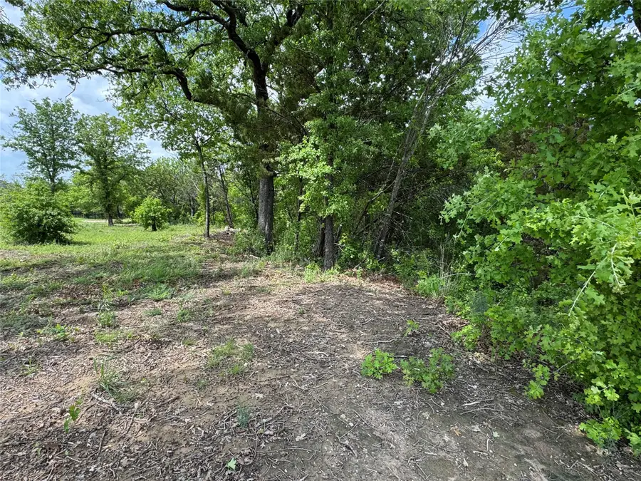 1017 Cedar Hill Drive, Nemo, TX 76070 - #3