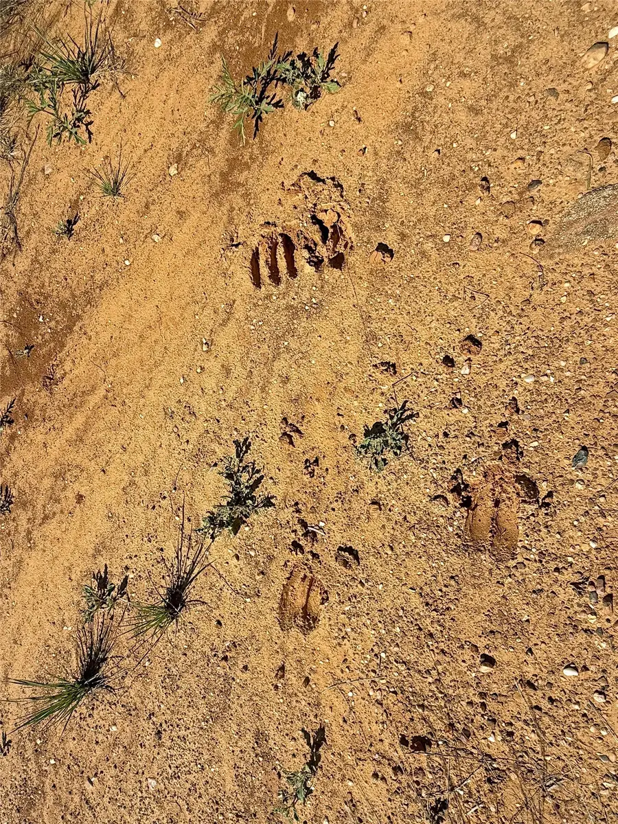 5011 Harris St, Cisco, TX 76437 - #2