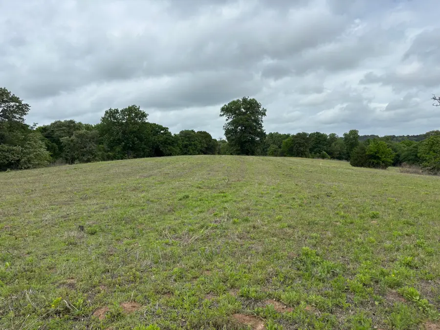 14074 Cr-3520, Brownsboro, TX 75756 - #3