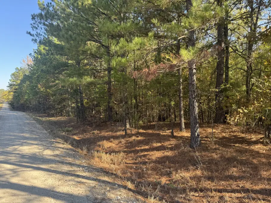 000 Cr 2451, Clarksville, TX 75426 - #2