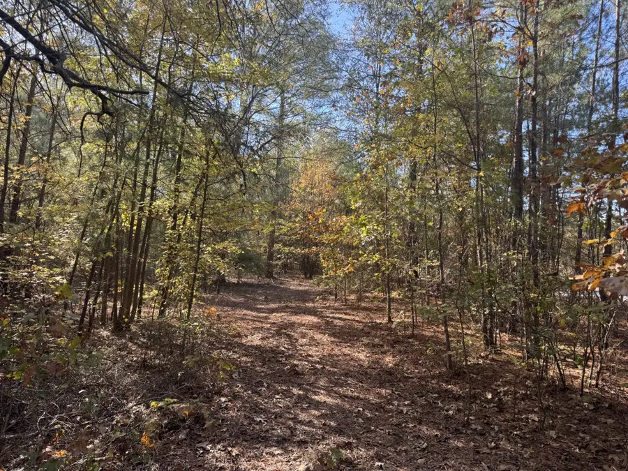 000 Cr 2451, Clarksville, TX 75426 - #3