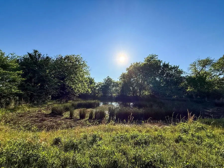 TBD County Road 1165, Brashear, TX 75420 - #3