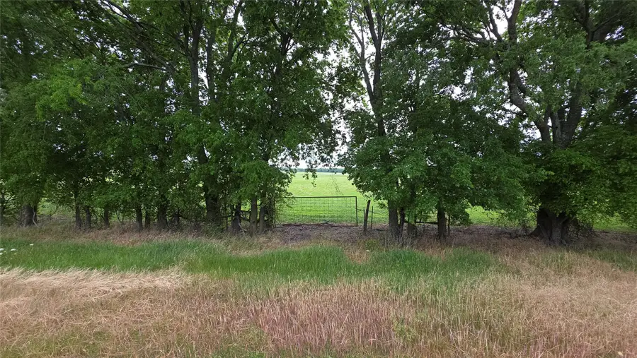 0000 Fm 272, Celeste, TX 75452 - #2